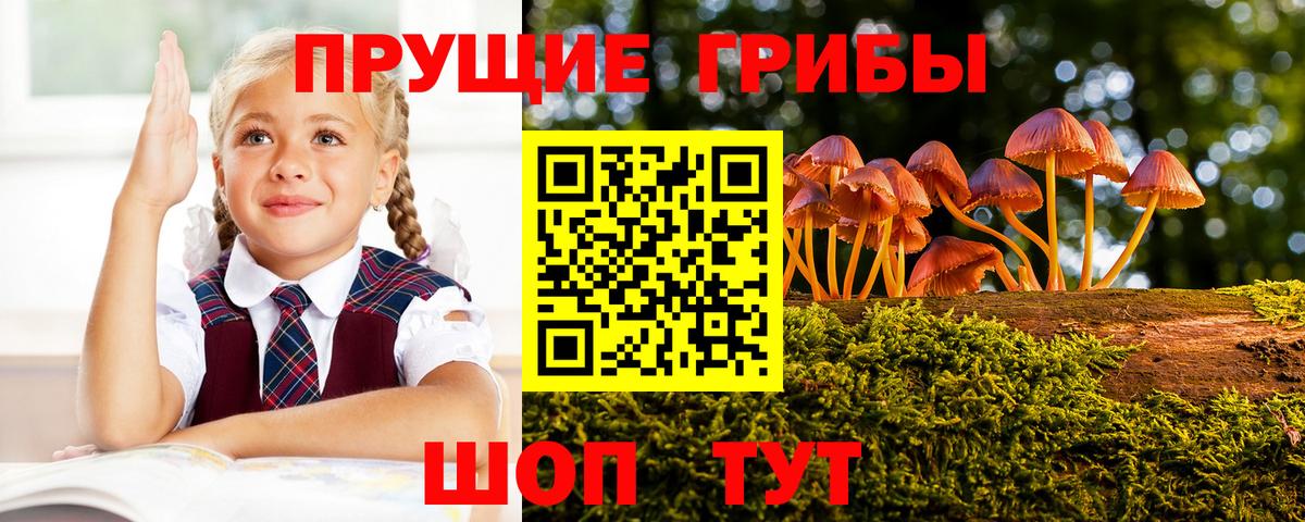 Псилоцибиновые грибы Magic Shrooms Дедовск