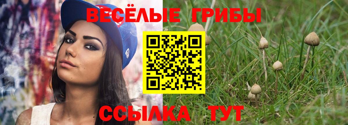 Дедовск  Галлюциногенные грибы мухоморы  Вход с VPN 